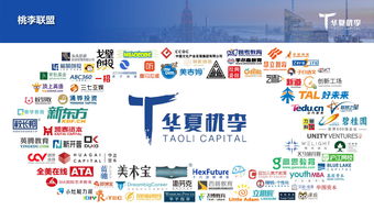 创业投资与数据驱动 199IT在互联网资讯生态中的角色与价值